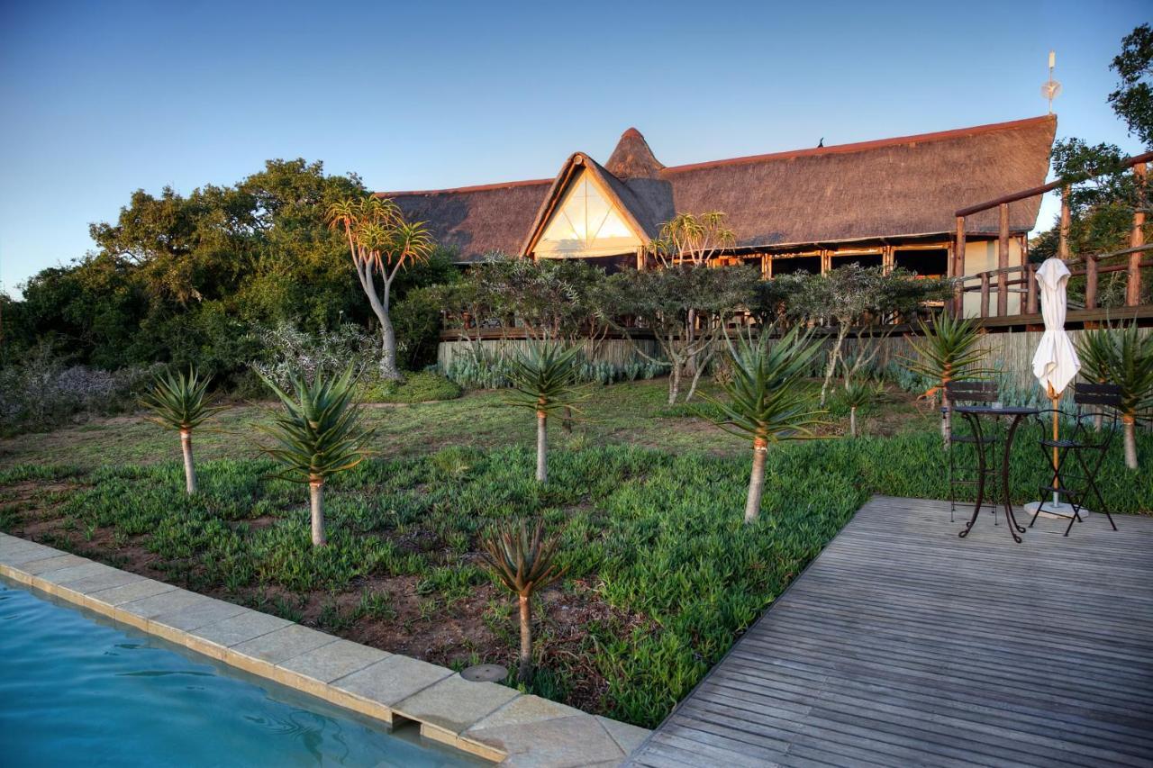 Bush Lodge – Amakhala Game Reserve Bagian luar foto
