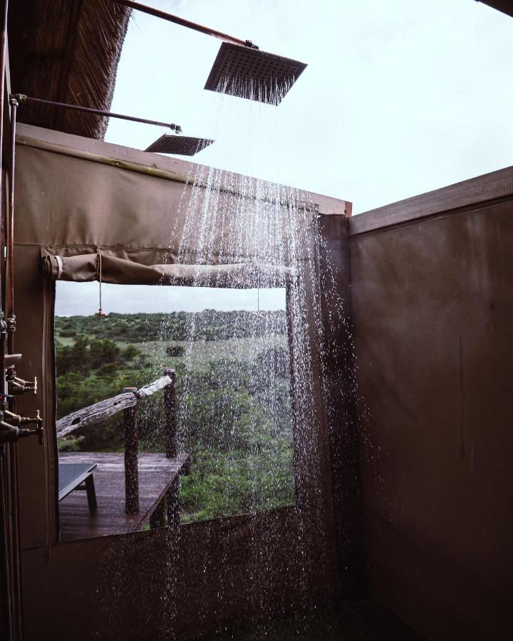 Bush Lodge – Amakhala Game Reserve Bagian luar foto