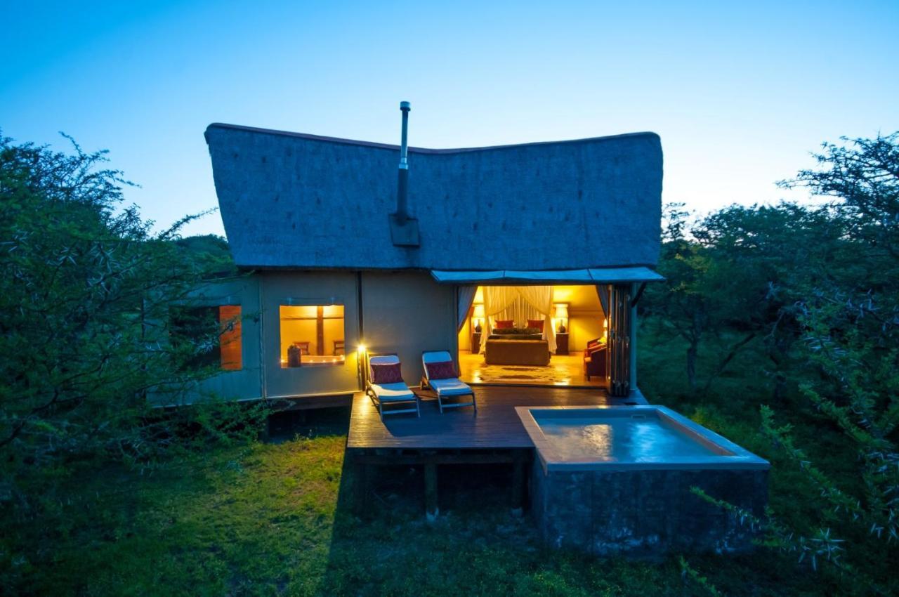 Bush Lodge – Amakhala Game Reserve Bagian luar foto