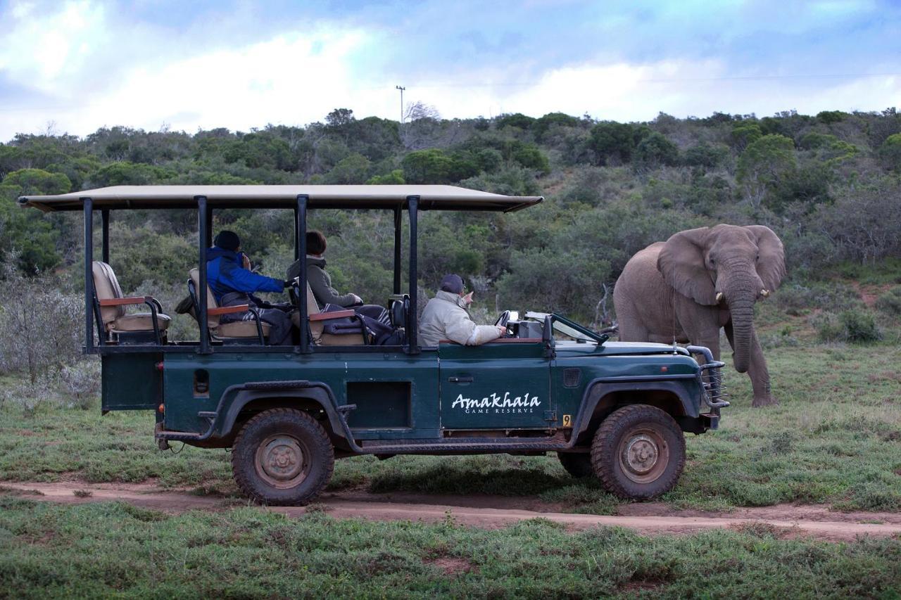 Bush Lodge – Amakhala Game Reserve Bagian luar foto