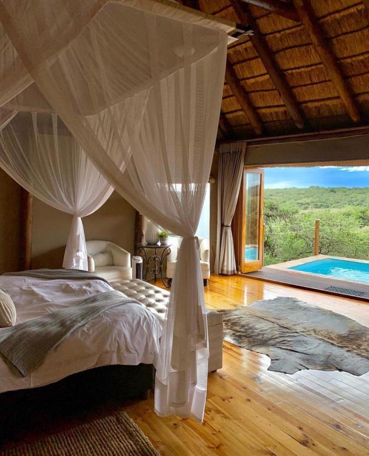 Bush Lodge – Amakhala Game Reserve Bagian luar foto