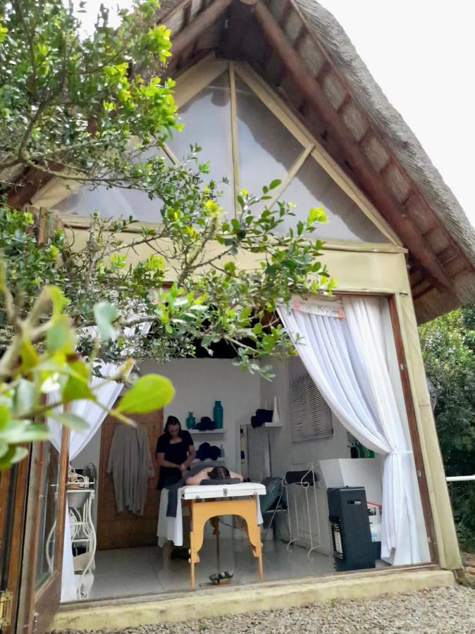 Bush Lodge – Amakhala Game Reserve Bagian luar foto
