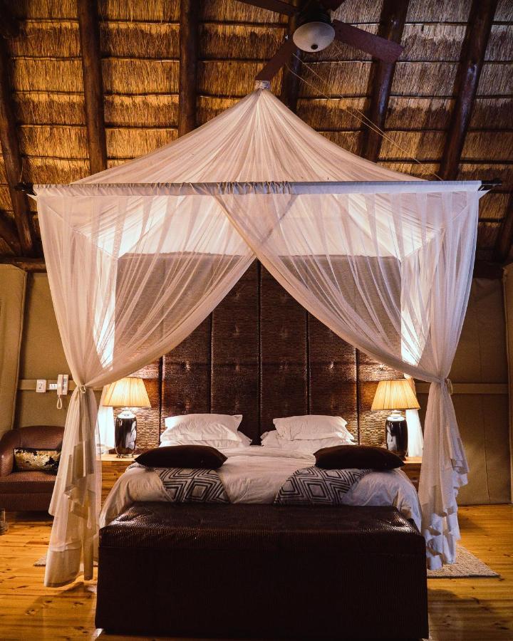 Bush Lodge – Amakhala Game Reserve Bagian luar foto