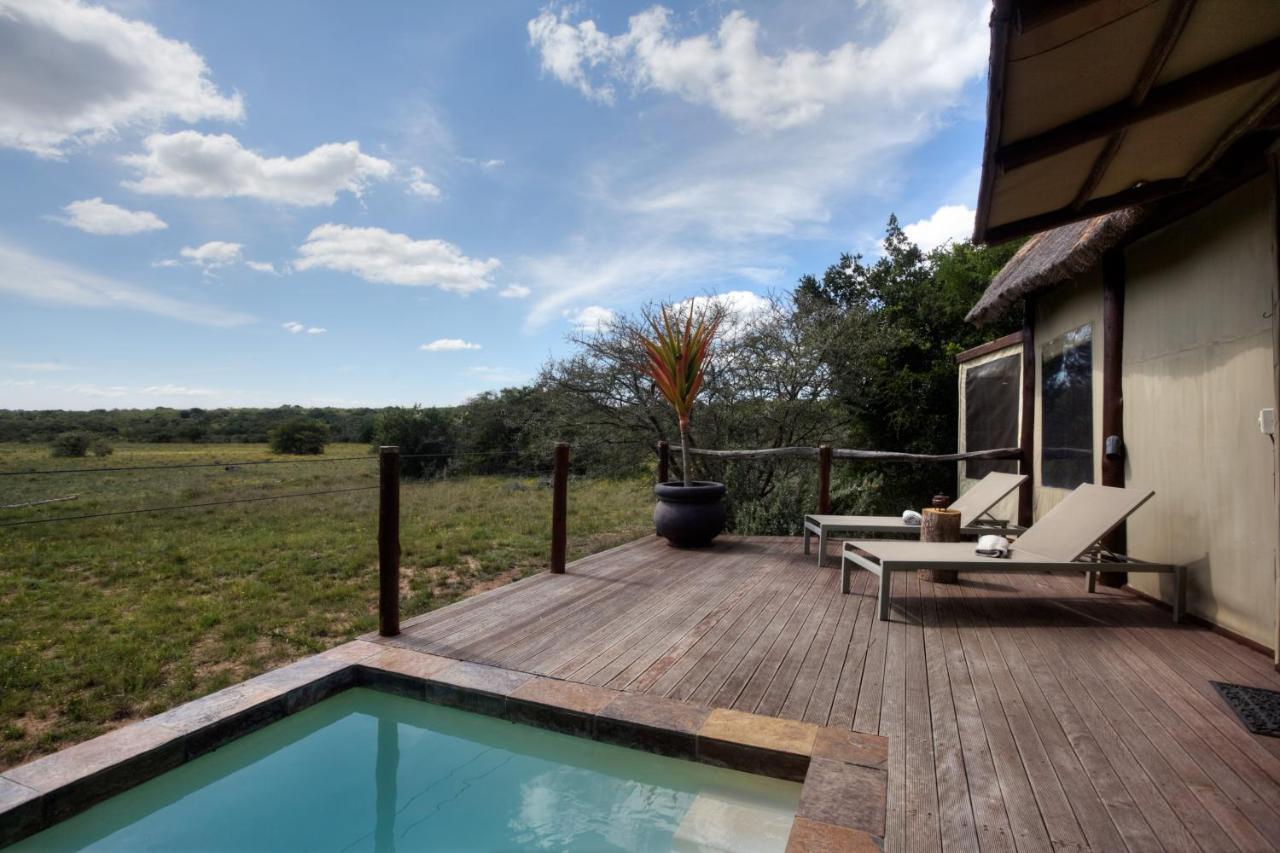 Bush Lodge – Amakhala Game Reserve Bagian luar foto