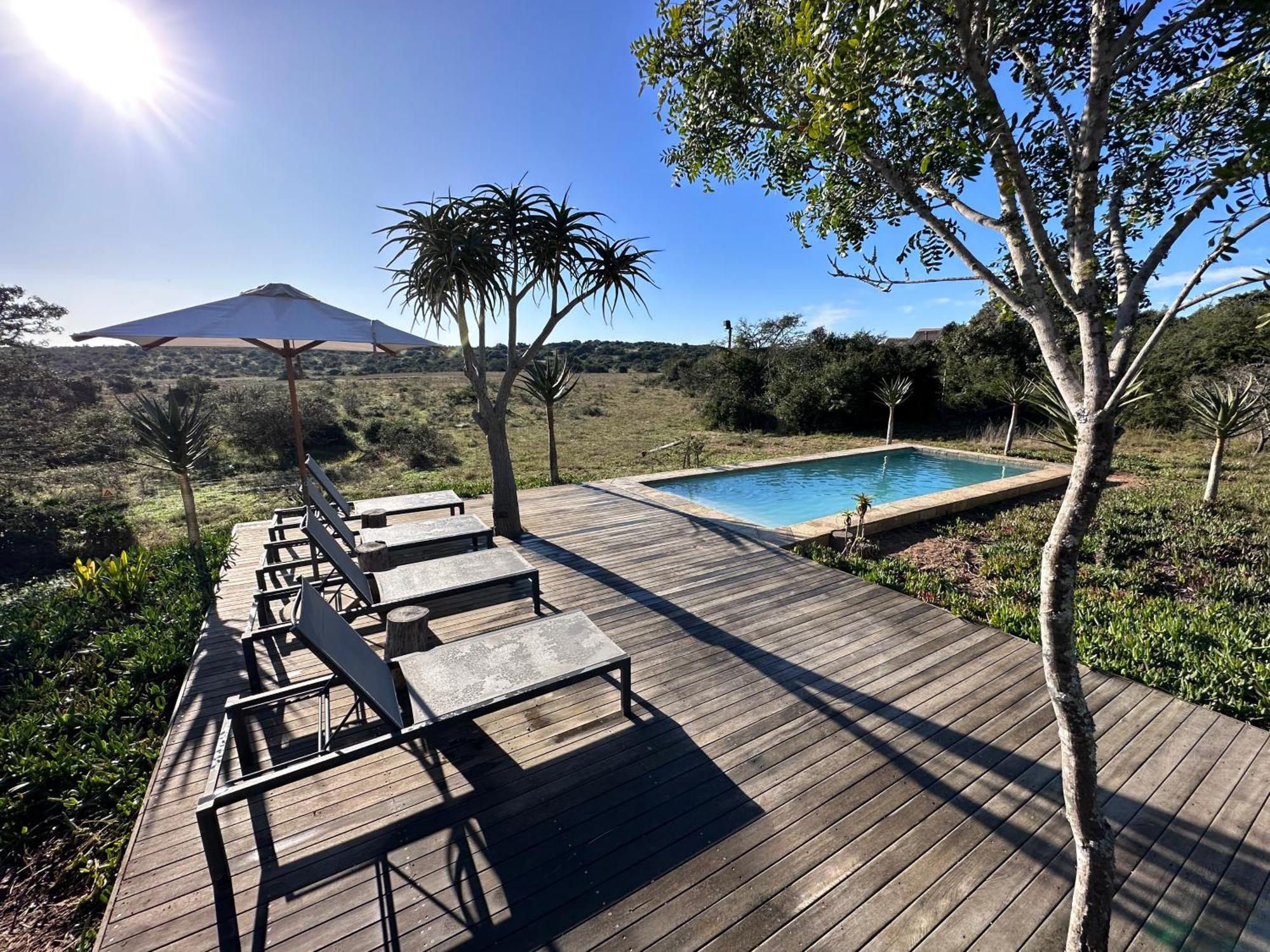 Bush Lodge – Amakhala Game Reserve Bagian luar foto