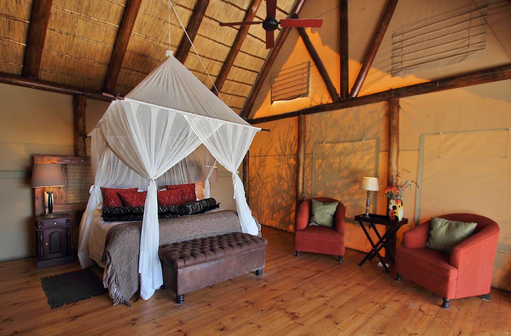 Bush Lodge – Amakhala Game Reserve Bagian luar foto