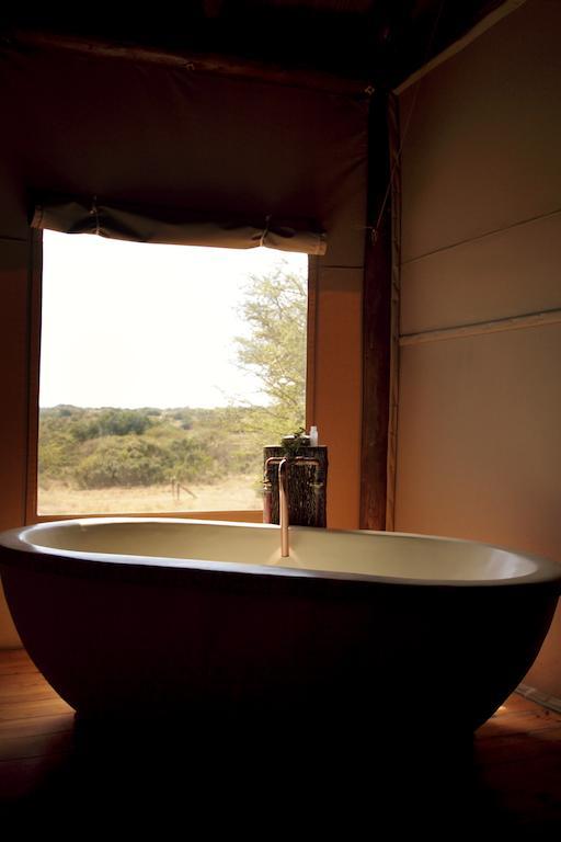 Bush Lodge – Amakhala Game Reserve Bagian luar foto