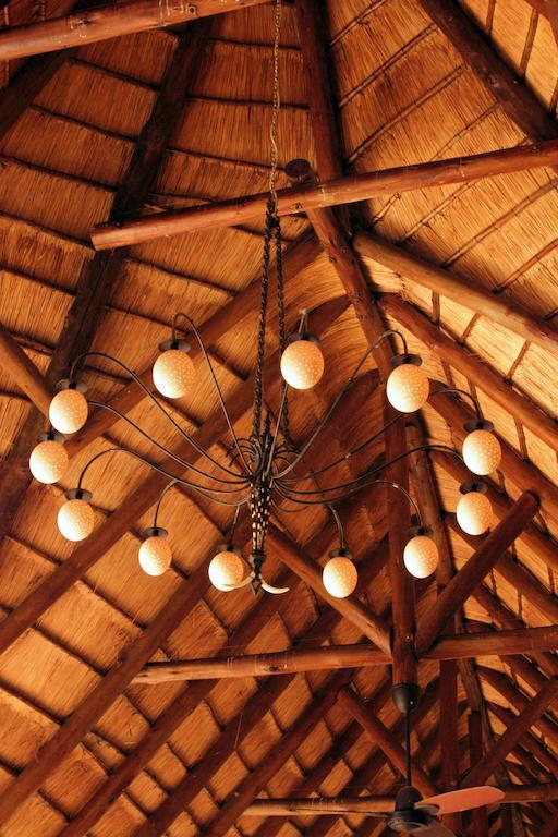 Bush Lodge – Amakhala Game Reserve Bagian luar foto