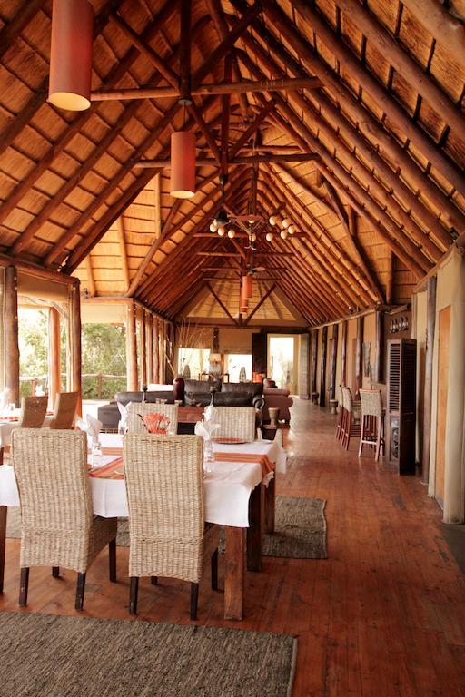 Bush Lodge – Amakhala Game Reserve Bagian luar foto