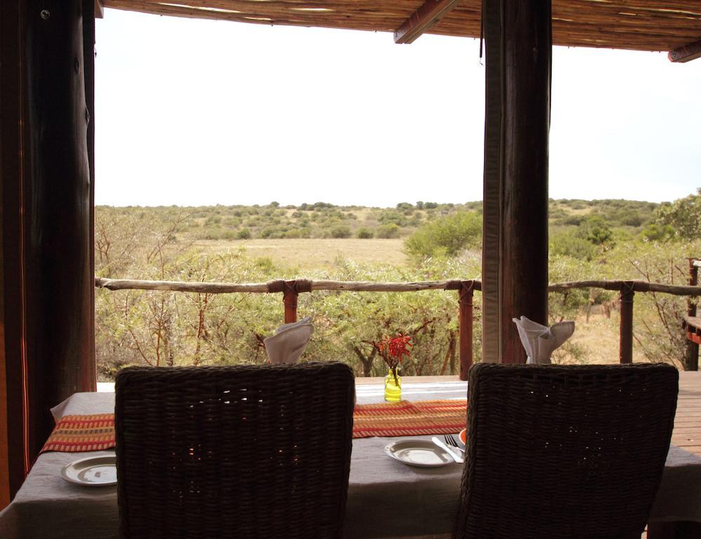 Bush Lodge – Amakhala Game Reserve Bagian luar foto